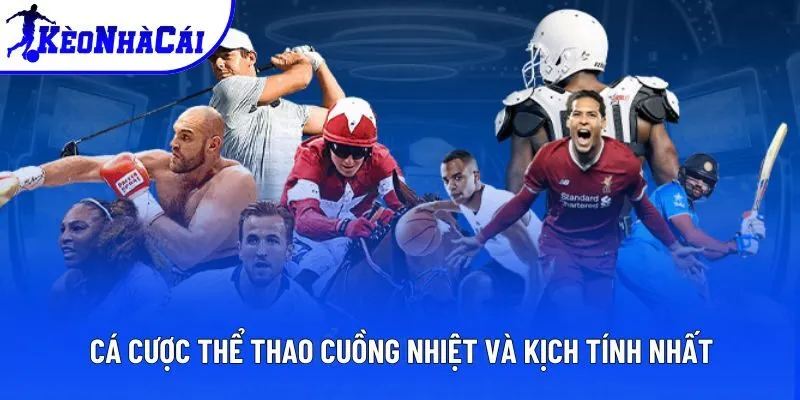 Cá cược thể thao cuồng nhiệt và kịch tính nhất