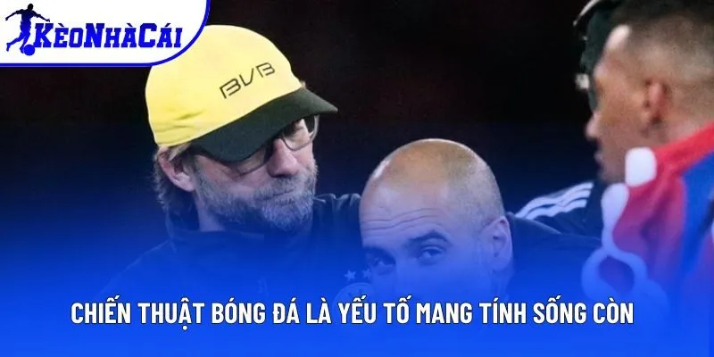 Chiến thuật bóng đá là yếu tố mang tính sống còn