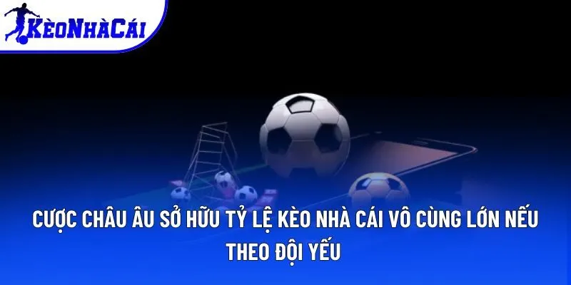 Cược châu Âu sở hữu tỷ lệ kèo nhà cái vô cùng lớn nếu theo đội yếu 